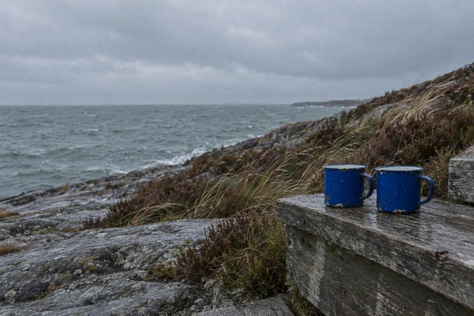 Two chipped cobalt blue enamel mugs standing side by side on a weathered wooden step above grey granite, wind-blown heather and a cold grey-green sea beyond.