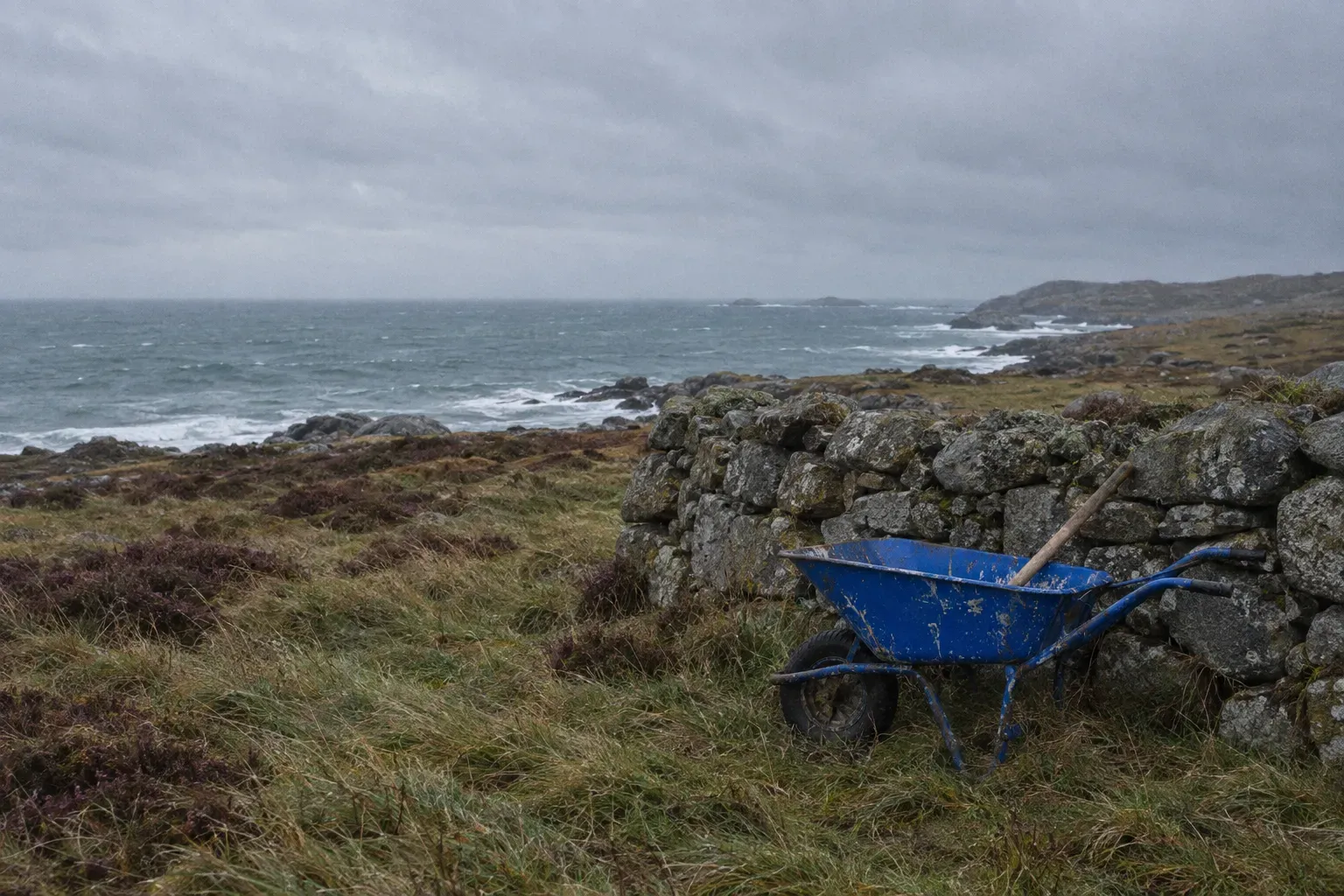 A well-used cobalt blue wheelbarrow standing against a low drystone wall on a Norwegian coastal smallholding under heavy overcast cloud, grey-green sea beyond.