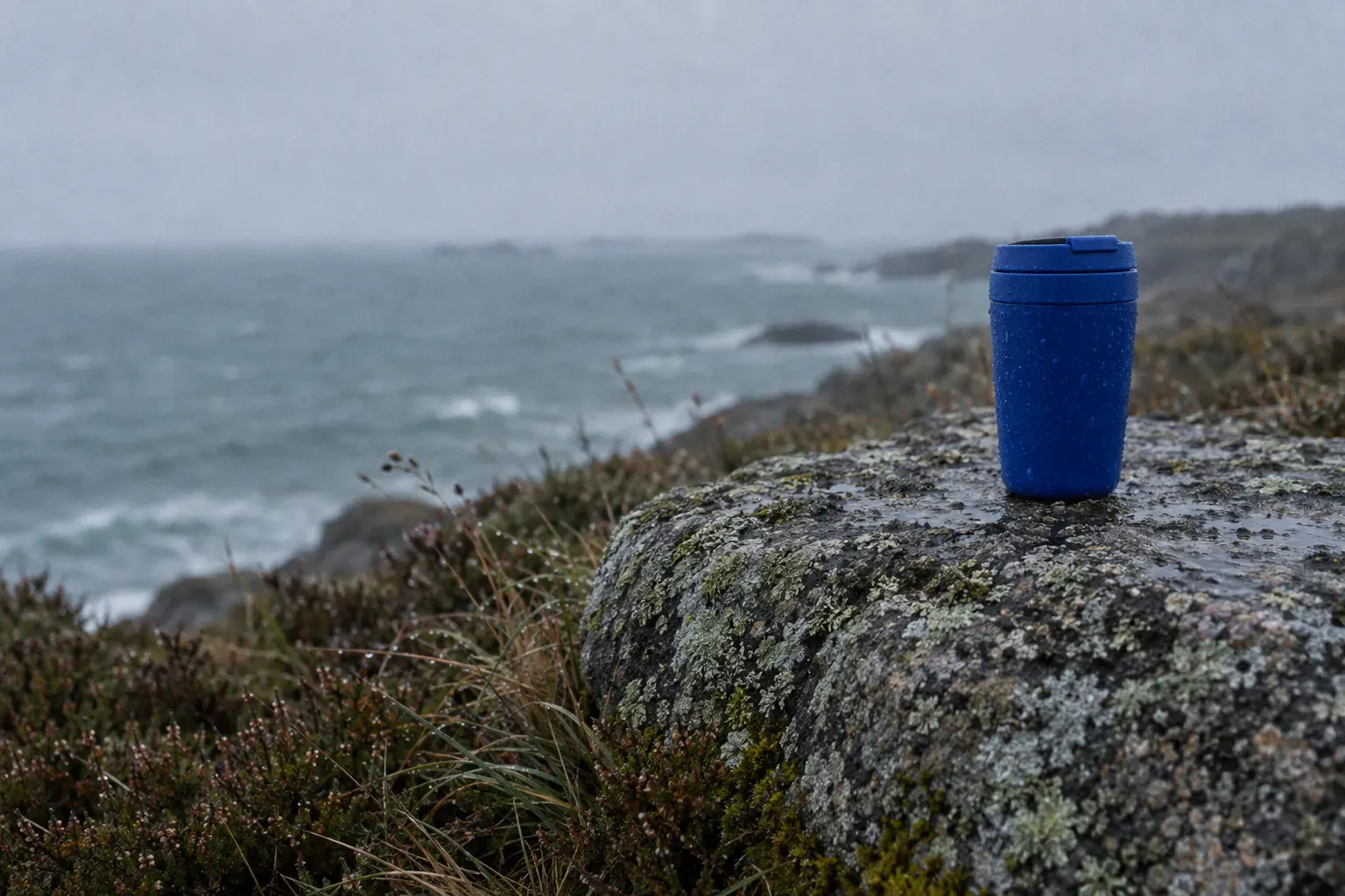 A matte cobalt blue insulated travel cup set down on a lichen-crusted granite boulder on a Norwegian headland, the grey-green sea soft and out of focus behind.