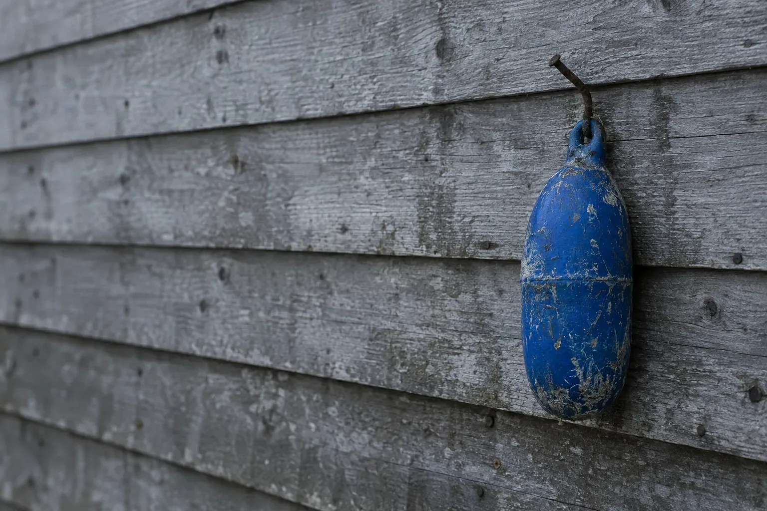 A single weathered cobalt blue fishing float hanging from a bent nail on the silvered grey plank wall of a Norwegian boathouse, nothing else on the wall.